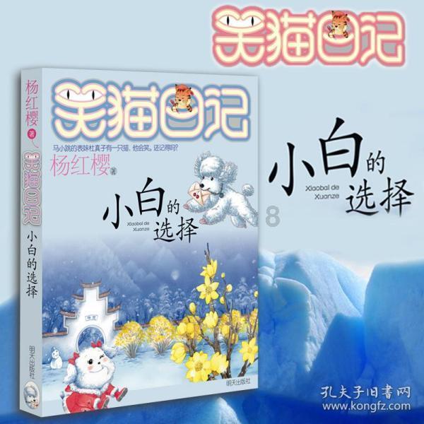 女巫的约定